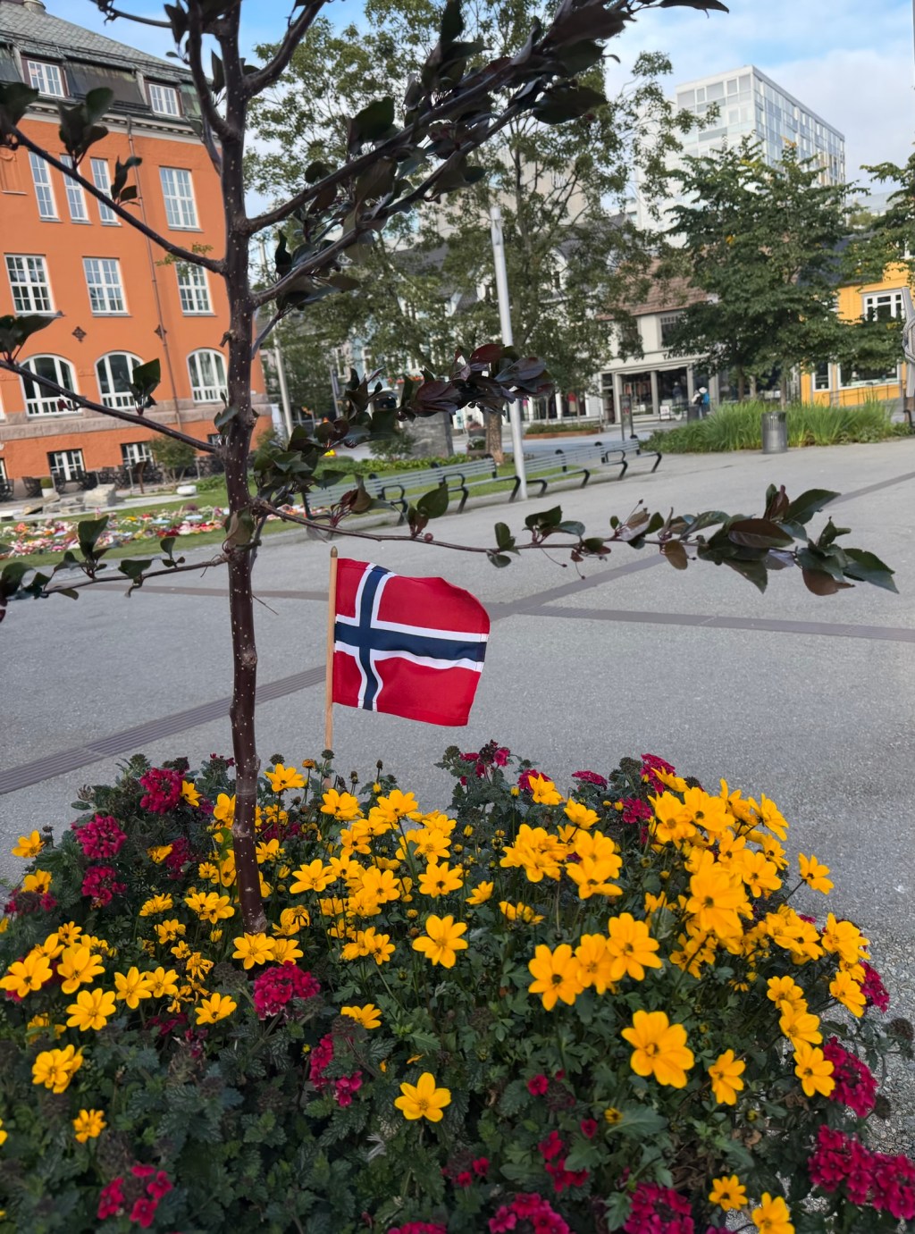 Tromsø: Cosmopolitan Meets&nbsp;Arctic